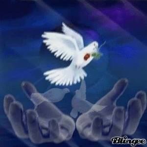 Meet your Posher, Adriel